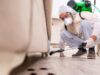 Professional Pest Control: Quality Service in Darwin