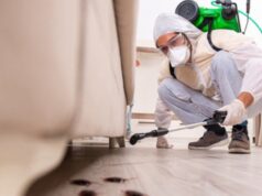 Professional Pest Control: Quality Service in Darwin