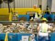Plastic Recycling Singapore Solutions for a Greener Future Ahead