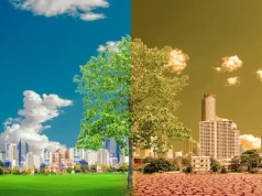 Climate Change Infrastructure: What Decision Makers Should Know