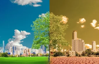 Climate Change Infrastructure: What Decision Makers Should Know